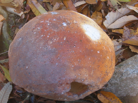 b0208981_8201686.jpg