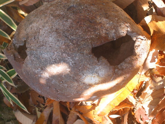 b0208981_822362.jpg