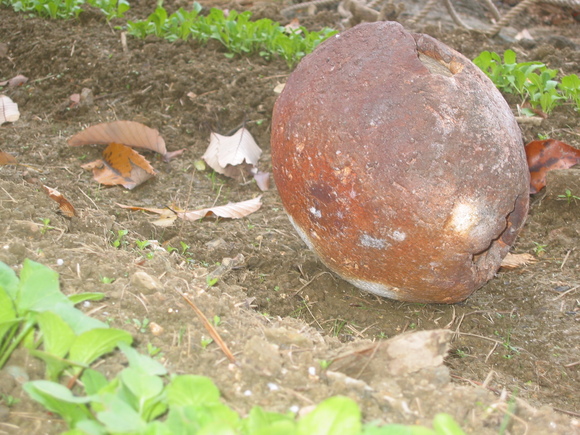b0208981_824517.jpg