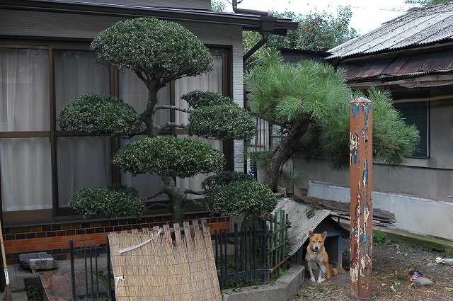 c0212083_163772.jpg