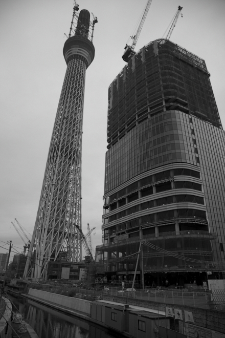 f0163583_22792.jpg