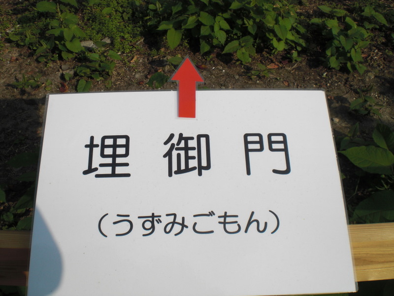 c0013687_629996.jpg