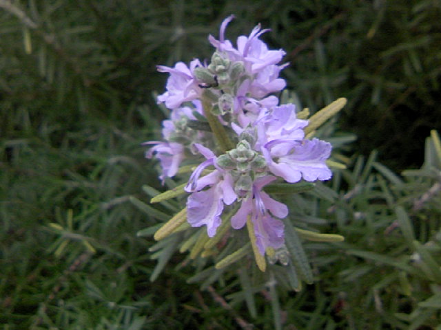b0135992_8584150.jpg