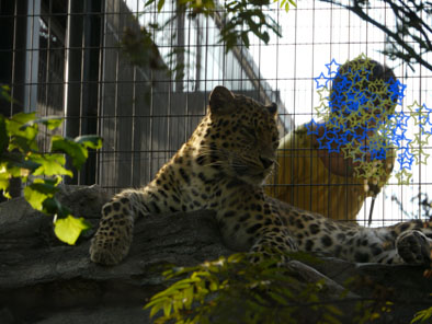 北海道３日目　その②　　旭川動物園_e0125894_034814.jpg