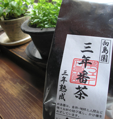 三年熟成 三年番茶_e0055098_13535122.jpg