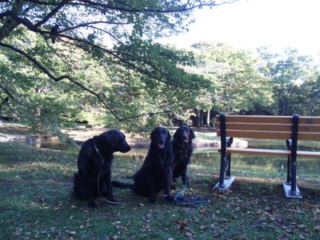 c0050400_16241012.jpg