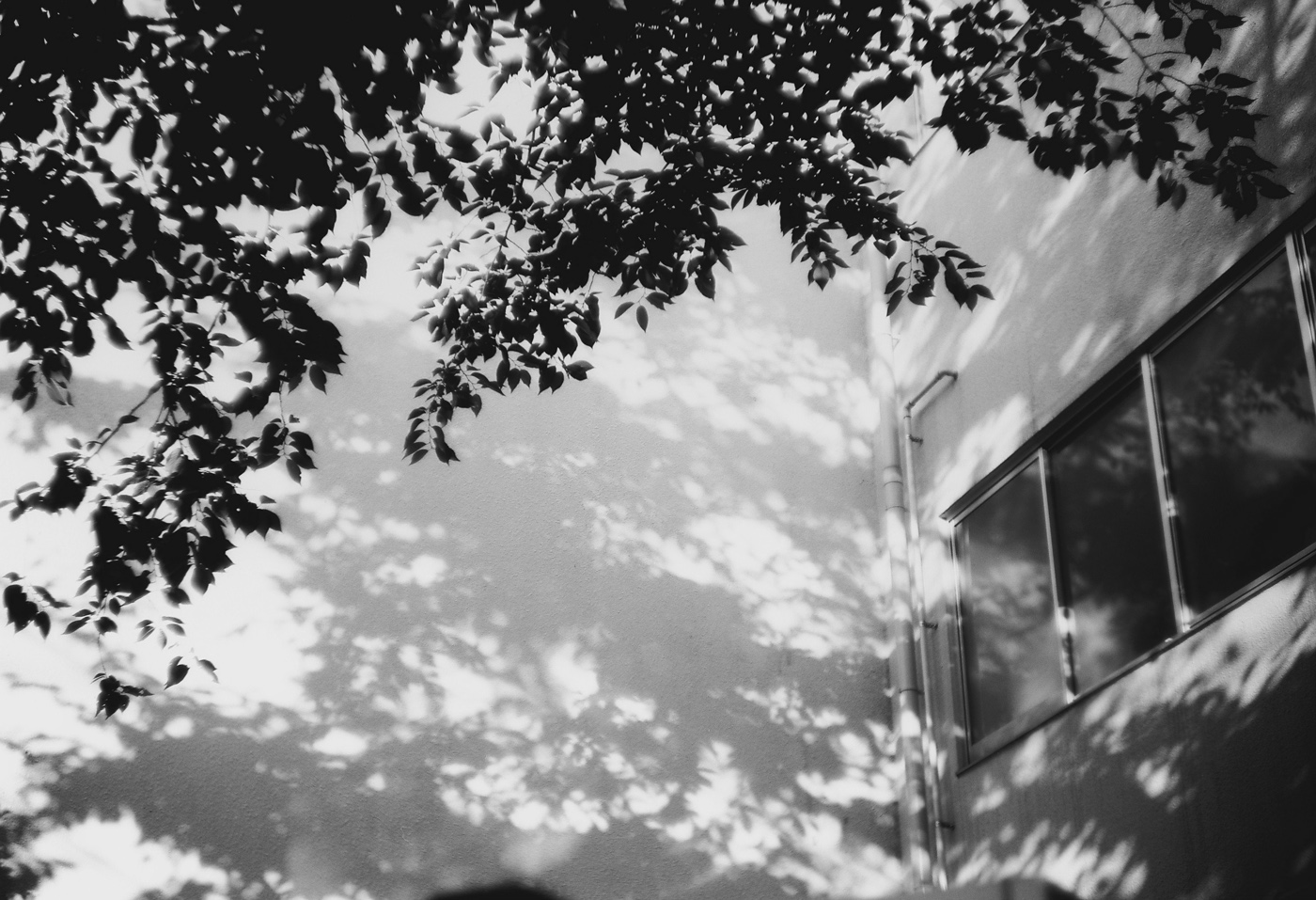 c0120903_130710.jpg