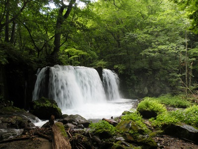 北海道・東北周遊旅行④　奥入瀬_c0163004_22164970.jpg