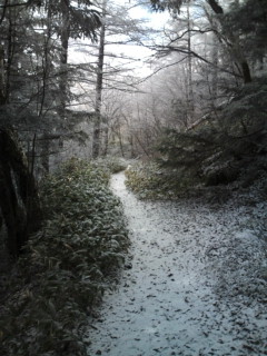 e0028904_17411982.jpg