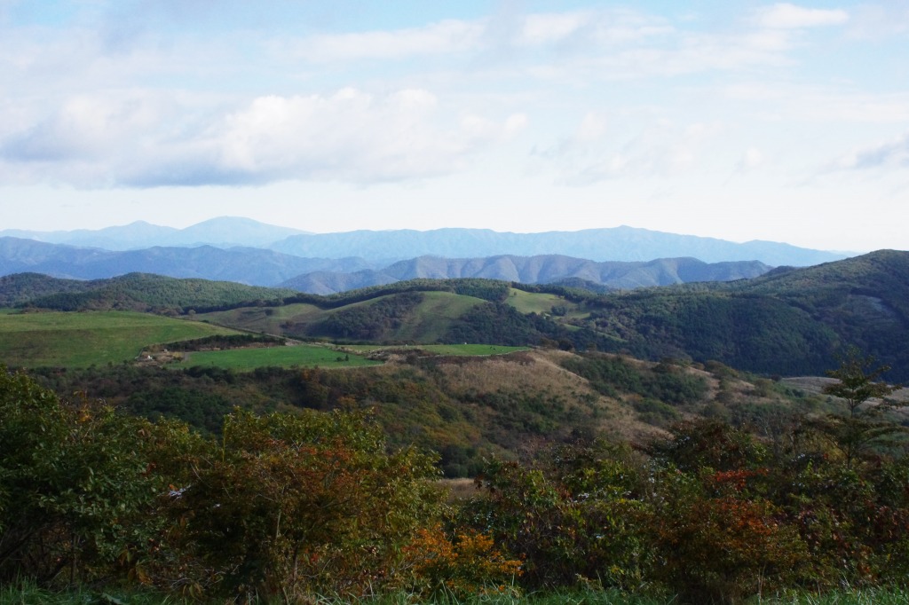 f0138305_2085530.jpg