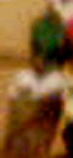 e0103408_13244039.gif