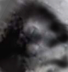 e0103408_13372739.gif