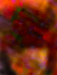 e0103408_13374510.gif