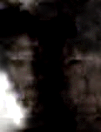 e0103408_13381671.gif