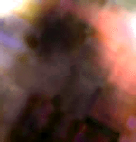 e0103408_1338350.gif