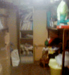 e0103408_1340693.gif
