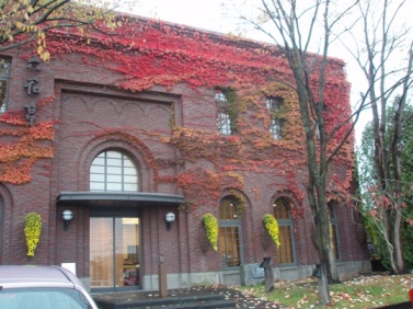 b0198109_16382141.jpg