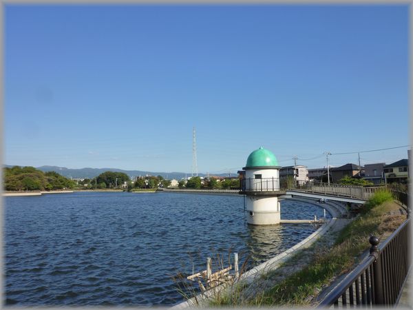c0097309_16768.jpg
