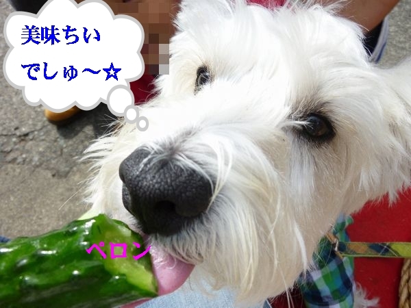 a0161111_1148816.jpg