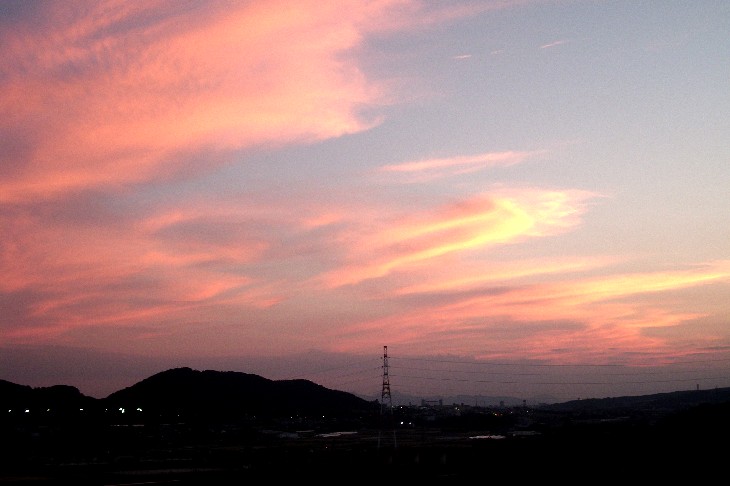 朝な、夕なに_e0158517_1929158.jpg