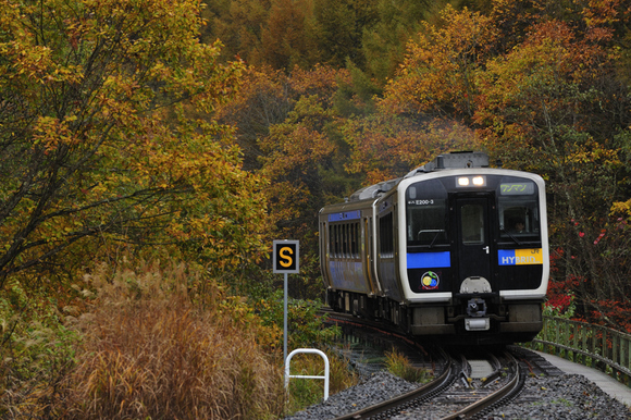 紅葉の小海線 Railway Photographic