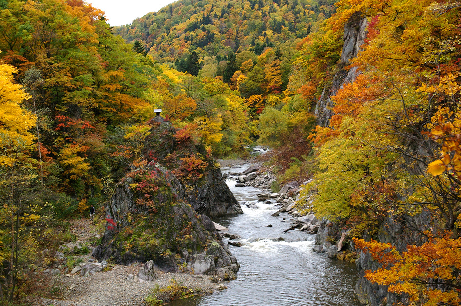 定山渓の紅葉は後半へ（最終回）～黄色/黄緑の深い森～_c0223825_23524629.jpg