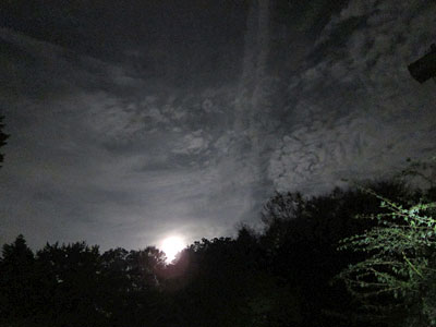 d0023725_91285.jpg