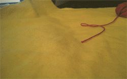 e0199431_19351764.gif