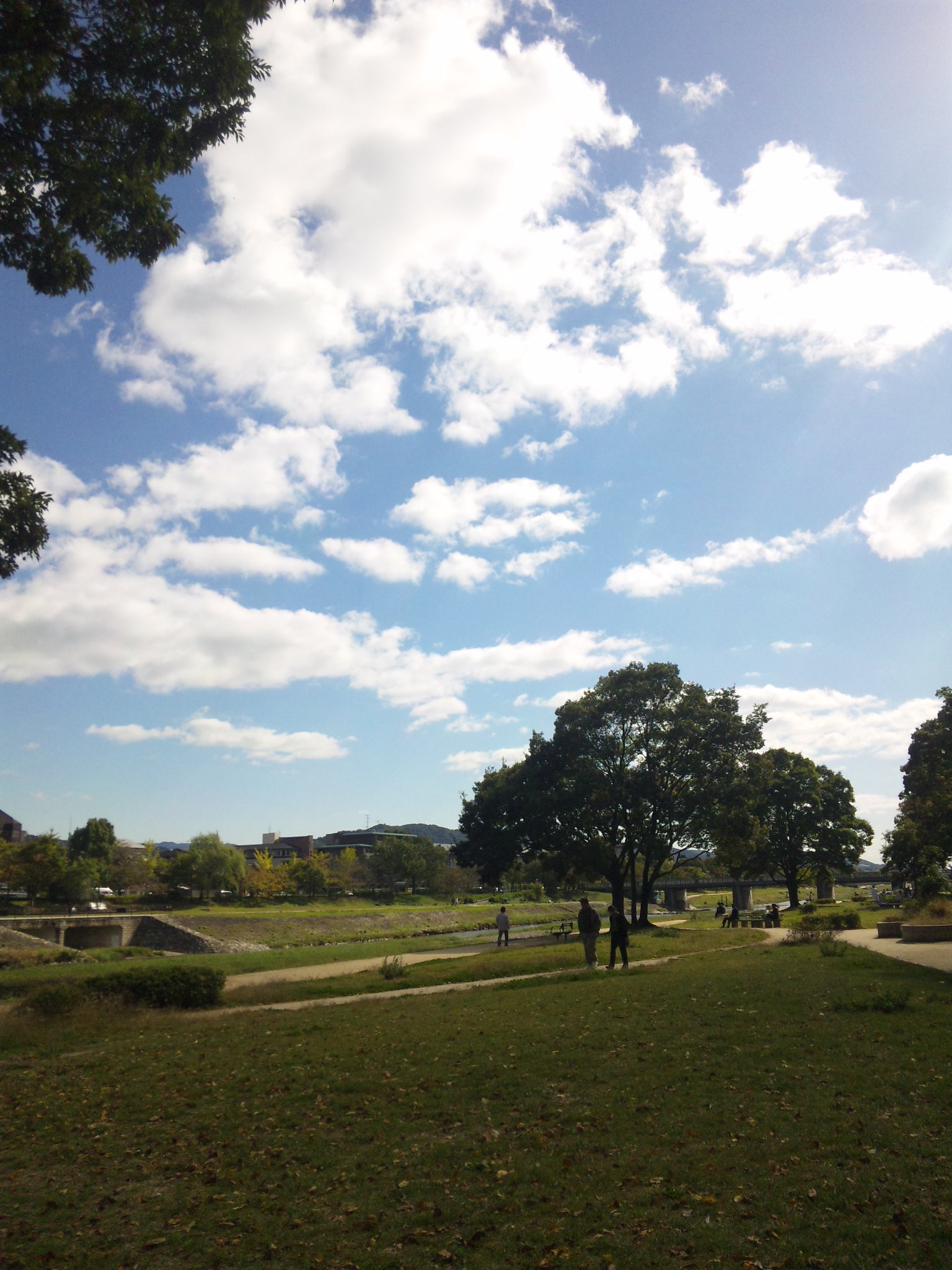 京都鴨川の秋_e0048932_12294715.jpg