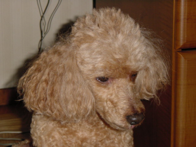 b0188233_83422.jpg