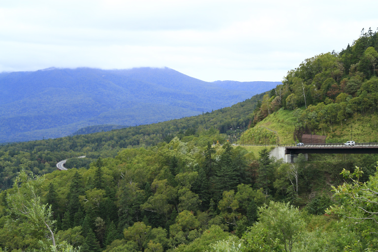 f0009433_1515050.jpg