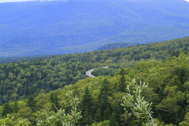 f0009433_15152168.jpg