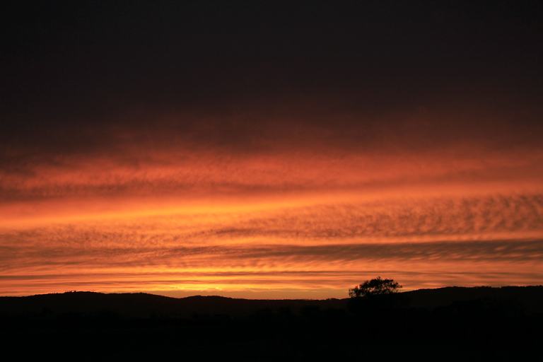 夕焼に向かって_f0009433_15161240.jpg