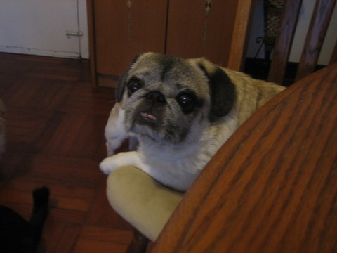 25 GRASSHOPPER 継続忘我_e0018143_3404849.jpg