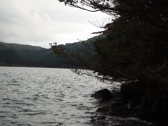 e0202845_214153.jpg