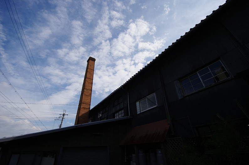 信楽スナップ ~後編~_f0152550_22505837.jpg