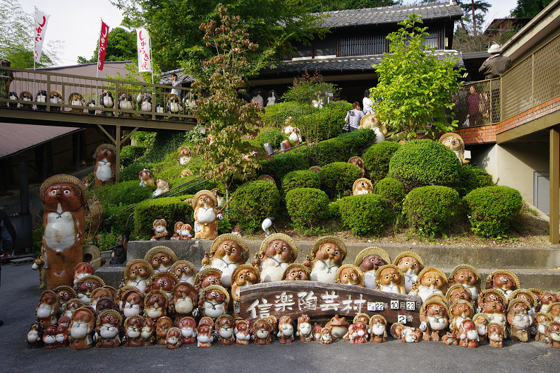 信楽スナップ ~後編~_f0152550_2256432.jpg