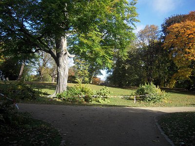 e0134052_16163686.jpg
