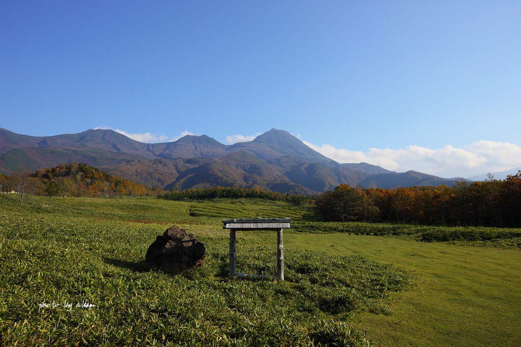 道東の秋あんどゆりかもめより～_a0039860_20113499.jpg