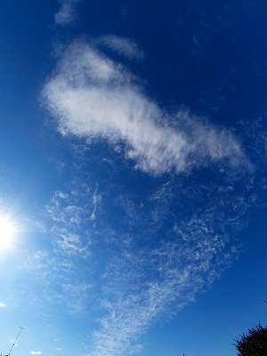 b0180764_2357257.jpg