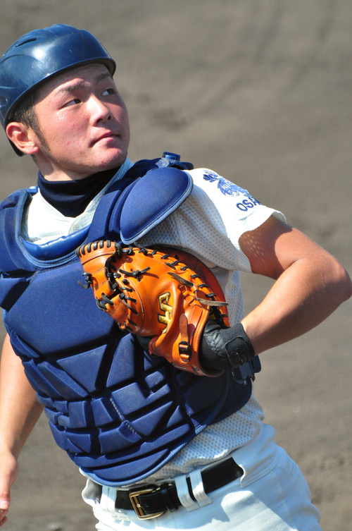 クラシックスポーツ - 大阪桐蔭高校野球部グラコン C99302273