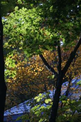 d0141365_2057512.jpg