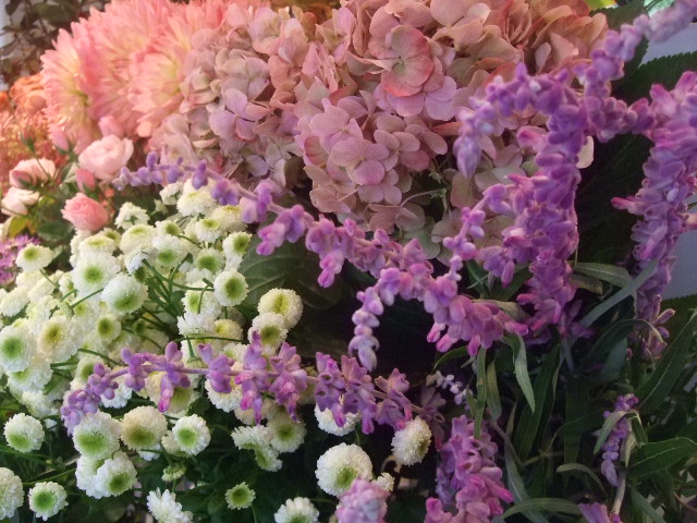 オークリーフ(在来マグ)_f0049672_13181481.jpg