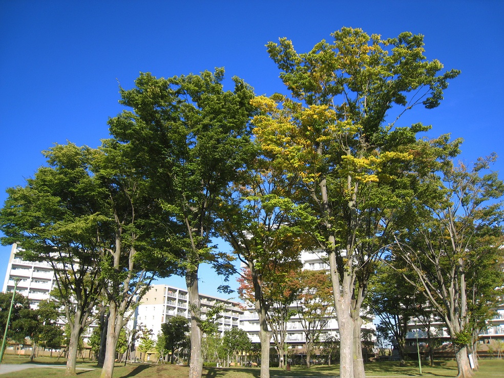 ふじみ野・上野台でデート♪^^_a0107574_2236411.jpg