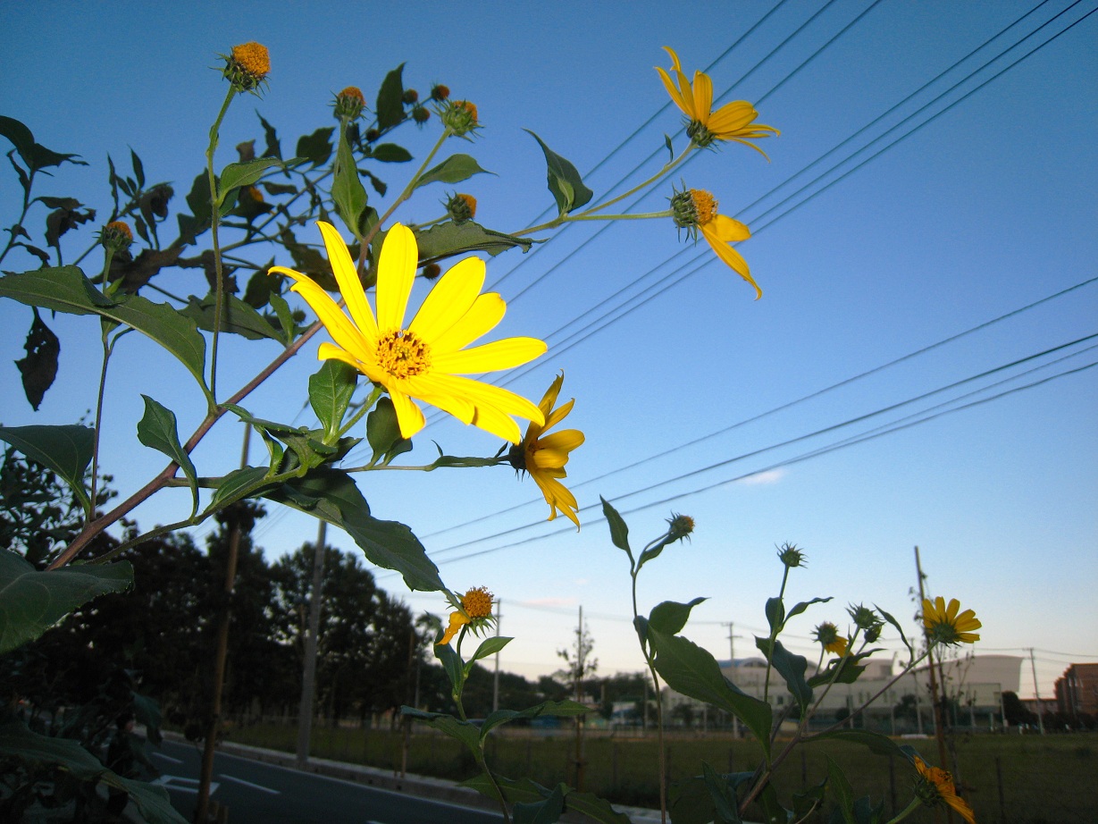 ふじみ野・上野台でデート♪^^_a0107574_22382016.jpg