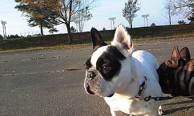 b0056476_12281821.jpg