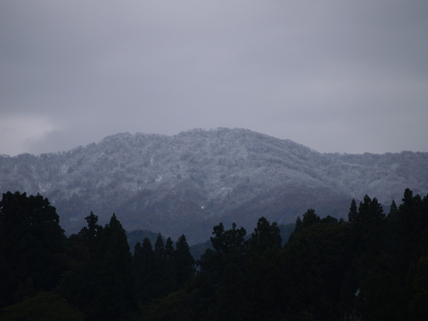 初冠雪!_d0182179_15305487.jpg