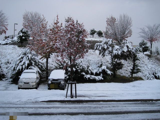 a0008185_759339.jpg