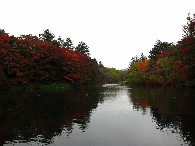 雲場池 紅葉10/27_d0133485_991915.jpg