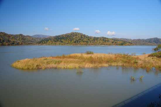 f0212586_10142637.jpg